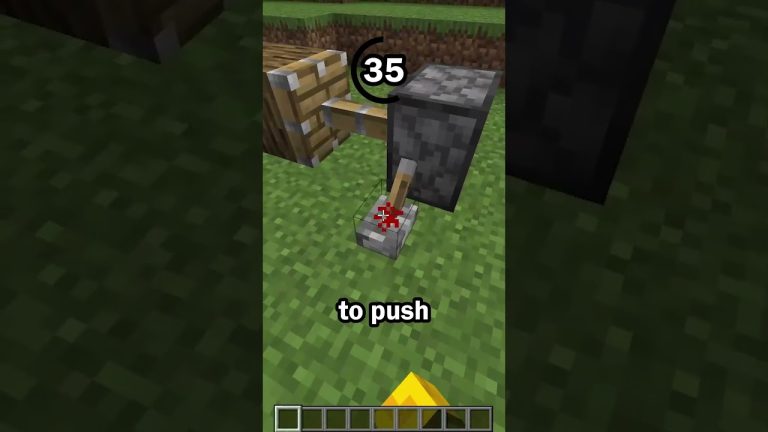 Guess the Minecraft block in 60 seconds 4