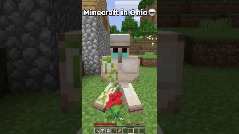 Can’t even play Minecraft in Ohio 💀(part 4) #shorts #minecraft #ohio